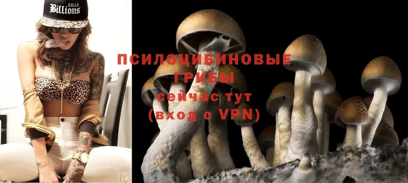 Галлюциногенные грибы MAGIC MUSHROOMS  Дубовка 